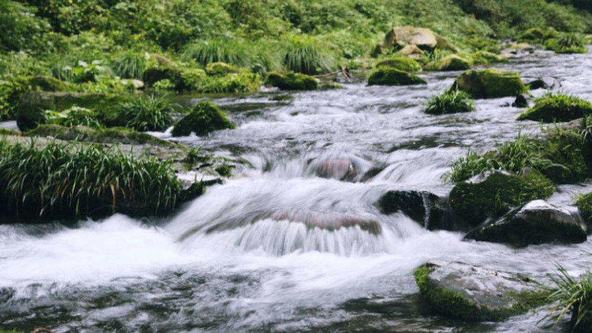虫虫助手下载