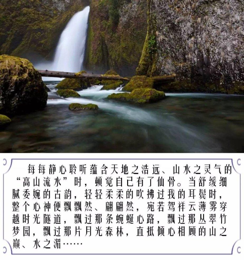 与“大猫”面对面!
